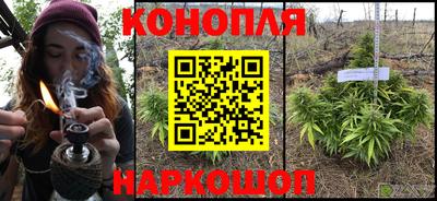 a pvp Ставрополь