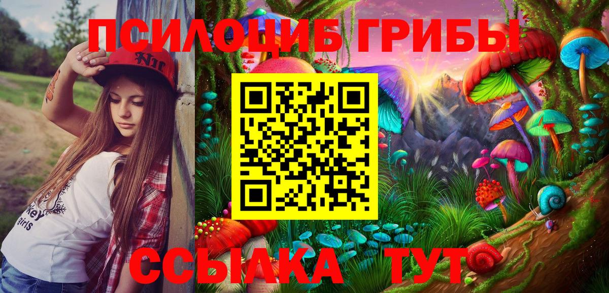 купить   Вход с VPN  Прокопьевск  Псилоцибиновые грибы прущие грибы  Галлюциногенные грибы ЛСД 